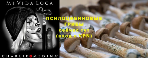 индика Алексин