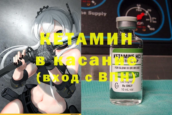 индика Алексин