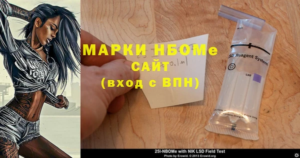 дурь Сатка