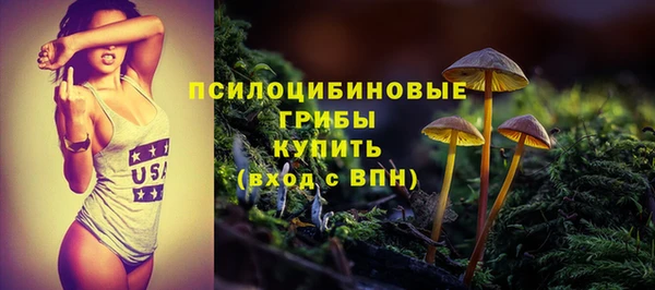 индика Алексин