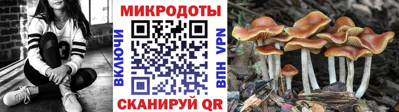 цена наркотик  KRAKEN ONION  Галлюциногенные грибы Cubensis  Анадырь 
